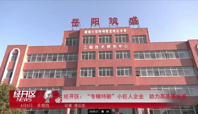 岳陽經開區：“專精特新”小巨人企業 助力高質量發展